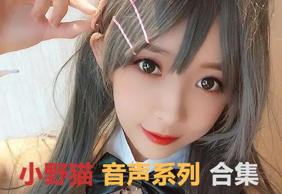 小野猫 中文音声合集【93.1G】